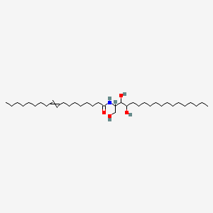 Molecular structure of Ceramides NP