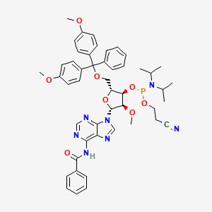 Molecular structure of 5-O-DMT-2-O-Me-rA(N-Bz)-3-CEDPA