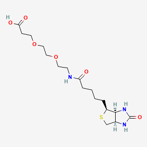Molecular structure of Biotin-PEG2-Acid