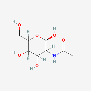 Molecular structure of Chitin