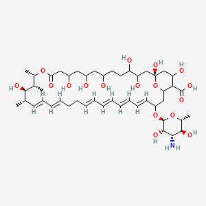 Molecular structure of Nystatin