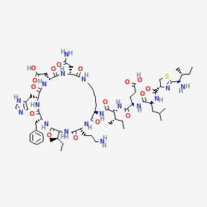 Molecular structure of Bacitracin