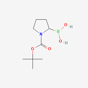 Molecular structure of 1-N-Boc-pyrrolidin-2-ylboronic acid