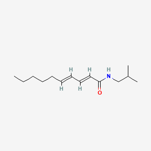 Molecular structure of Pellitorine
