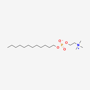 Molecular structure of Dodecylphosphocholine
