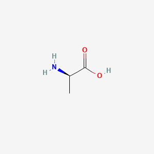 Molecular structure of D-Alanine
