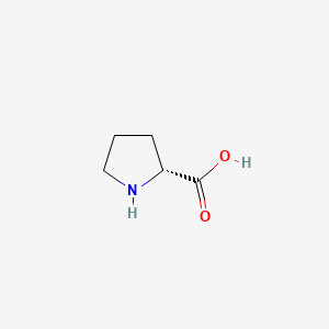 Molecular structure of D-Proline