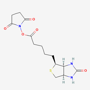 Molecular structure of (+)-Biotin N-hydroxysuccinimide ester