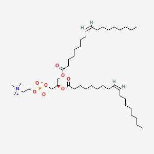 Molecular structure of Dierucoyl phosphatidylcholine