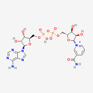 Molecular structure of beta-NAD