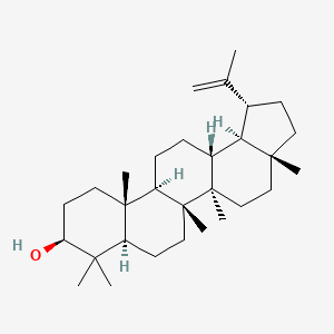 Molecular structure of Lupeol
