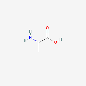 Molecular structure of L-Alanine