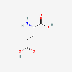 Molecular structure of L-Glutamic acid