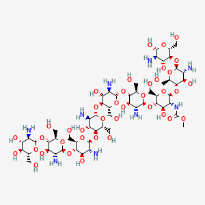 Molecular structure of Chitosan