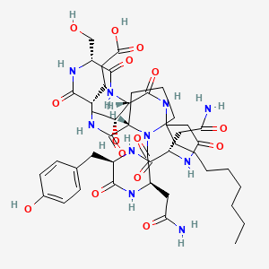 Molecular structure of Alkaline proteinase