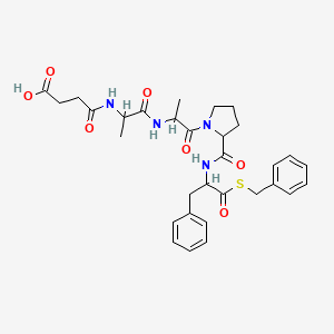 Molecular structure of Carboxypeptidase B