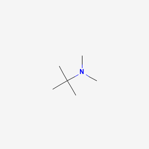 Molecular structure of N,N-Dimethyl-tert-butylamine