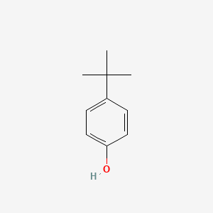 Molecular structure of 4-tert-Butylphenol