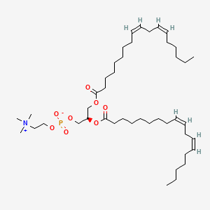 Molecular structure of Dilinoleoyl phosphatidyl choline